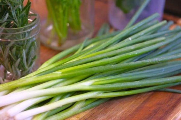How to Keep Scallions Fresh For a Month in the Fridge