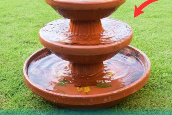 Finished A Clay Saucer Birdbath, a completed DIY project
