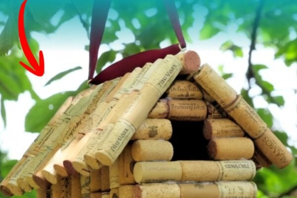 A DIY Wine Cork Birdhouse, homemade and freshly served
