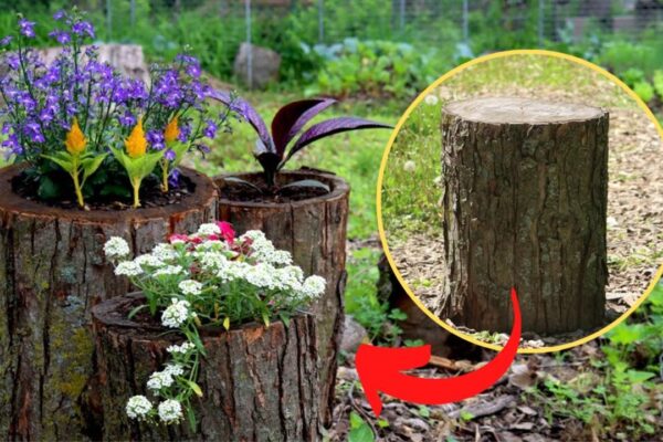 Finished A Log Planter For Your Garden, a completed DIY project
