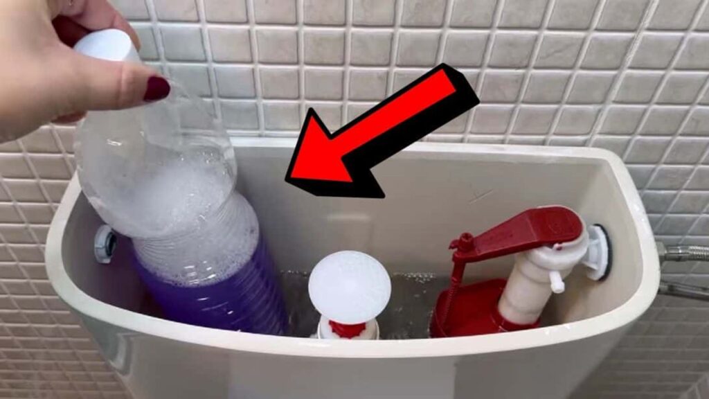 a Toilet Clean Itself