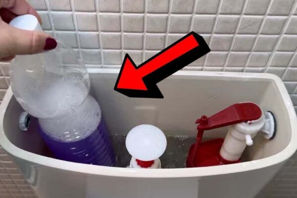 a Toilet Clean Itself