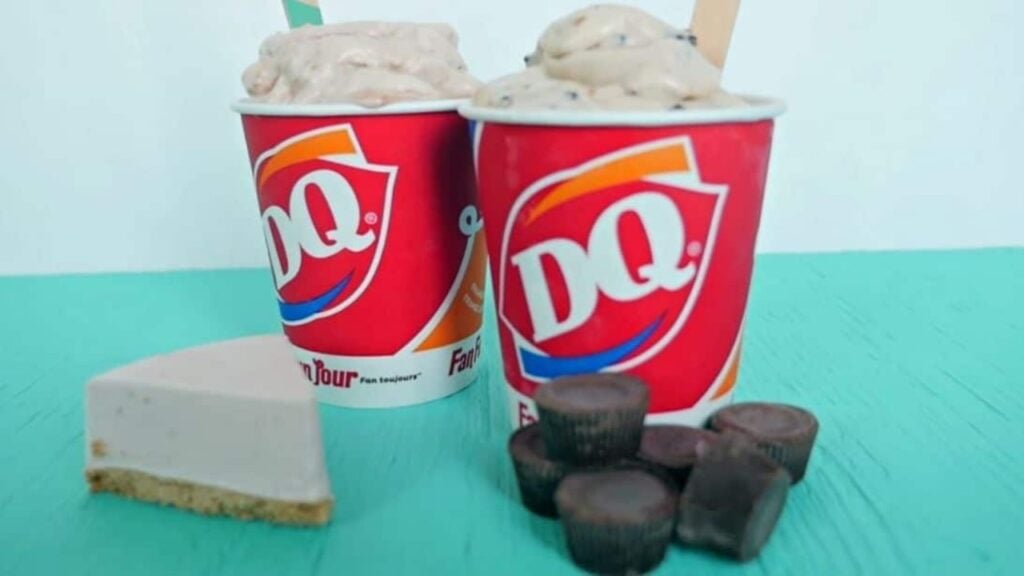 A Vegan Dairy Queen Blizzard