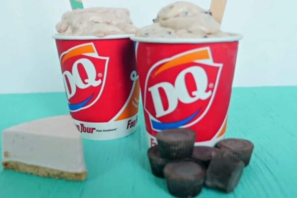 A Vegan Dairy Queen Blizzard