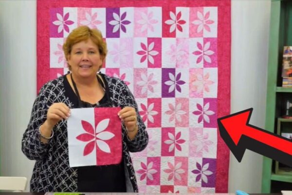 Finished a Wallflower Quilt With Jenny Doan, a completed DIY project