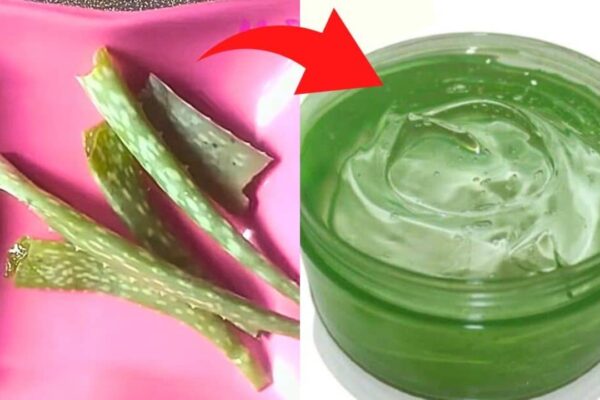 Aloe Vera Gel at Home
