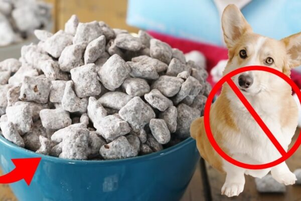Classic Puppy Chow