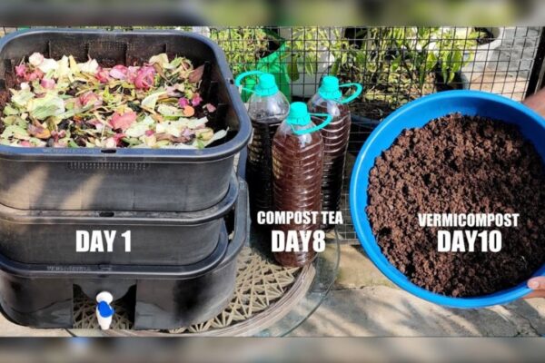 Finished DIY Compost In Just 10 Days, a completed DIY project