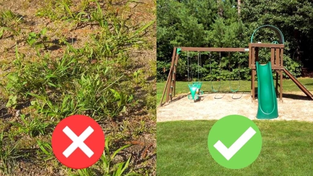 Homemade Organic Weed Control