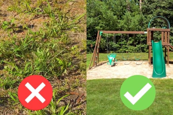 Homemade Organic Weed Control