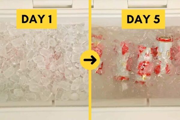 Ice Last Longer in Your Cooler
