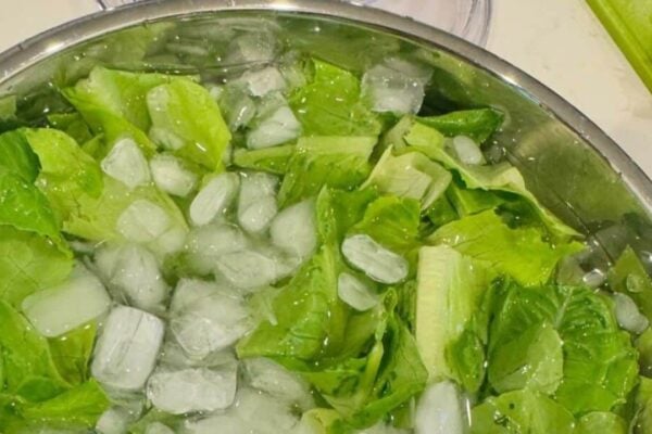 Restaurant Secret to Crisping Limp Lettuce