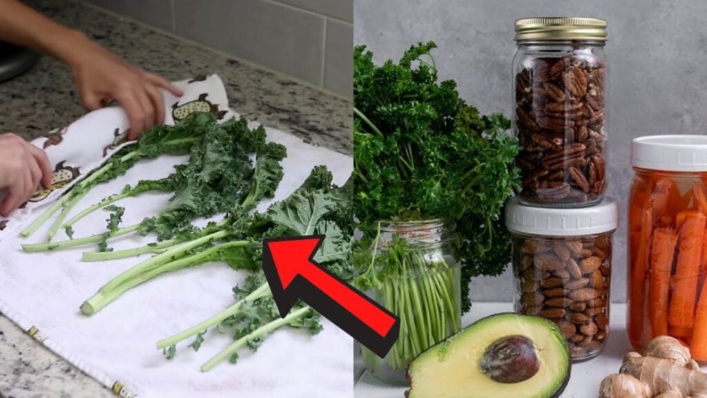 Produce Last Longer and Reduce Waste