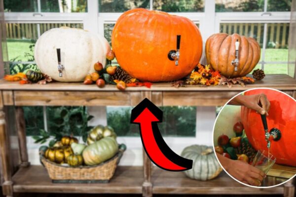 Finished Super Easy DIY Pumpkin Kegs, a completed DIY project