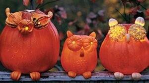 Finished DIY Halloween: How to Make Pumpkin Owls, a completed DIY project