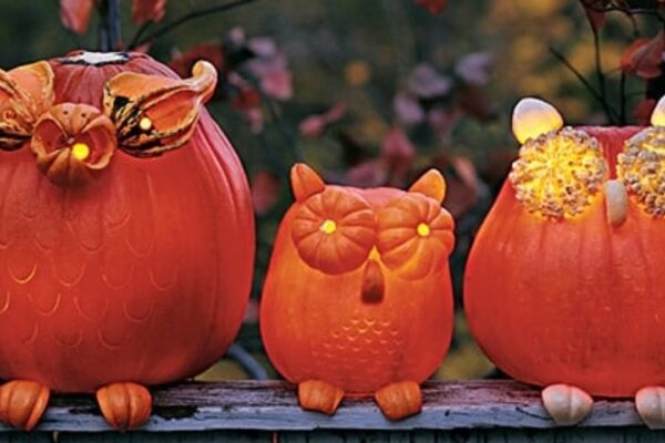 Finished DIY Halloween: How to Make Pumpkin Owls, a completed DIY project