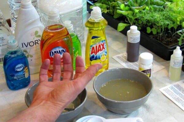 Finished Soapy Water Garden Insect Spray, a completed DIY project