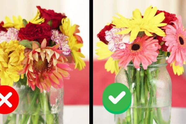 Finished Your Flower Arrangements Last Longer, a completed DIY project