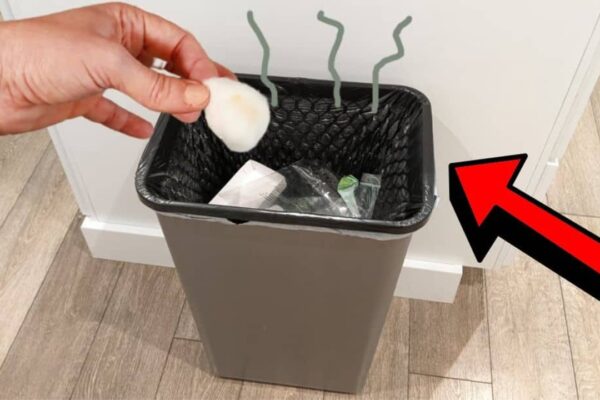 Finished Your Garbage Can Smell Good, a completed DIY project