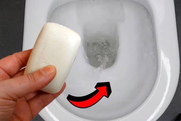 Your Toilet Smell Good for 24 Hours