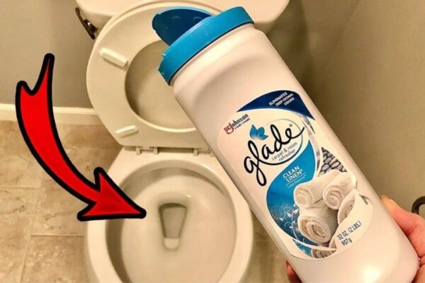 Your Toilet Super Clean & Smell Amazing