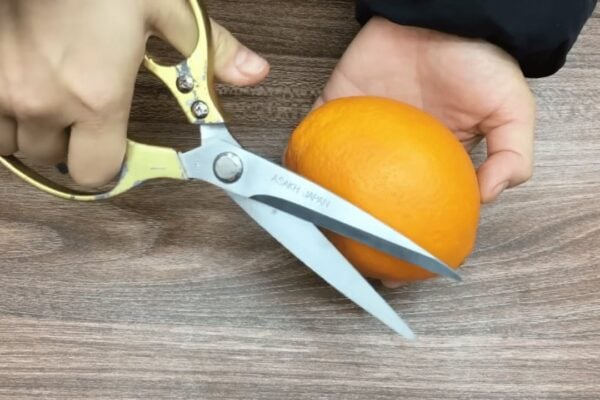 How to Peel Oranges Using Scissors