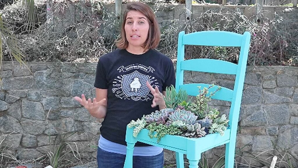 Finished How To Plant Your Succulents In A Chair, a completed DIY project