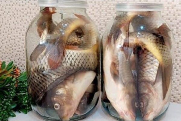 How to Keep Fish Fresh for 1 Year, homemade and freshly served