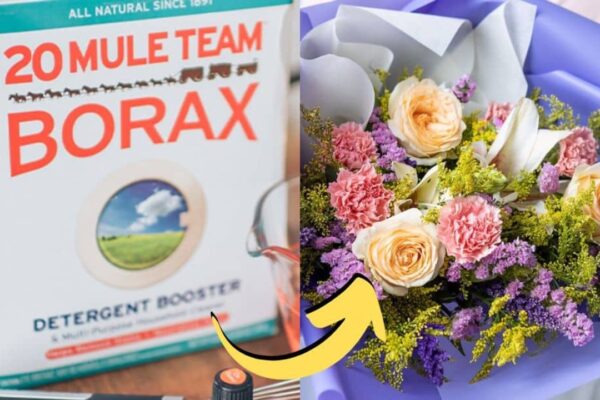 How To Preserve Flowers Using Borax & Cornmeal, homemade and freshly served