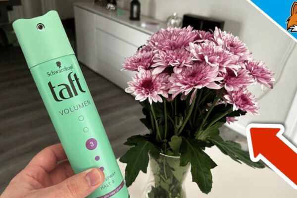 Finished 3 Ways to Prevent Flowers from Wilting Quickly, a completed DIY project