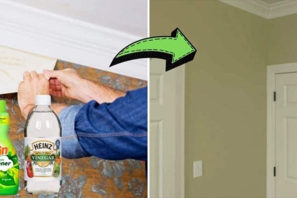 Finished How To Remove A Wallpaper Easily, a completed DIY project