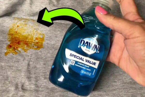 Finished How to Remove Clothes Stains Using Dawn Dish Soap, a completed DIY project