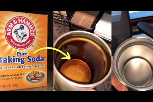 How to Remove Stains From Stainless Steel Cups and Tumblers, homemade and freshly served