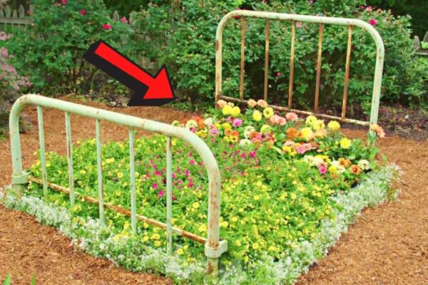 Finished Repurpose An Old Bed Frame Into A Flower Bed, a completed DIY project