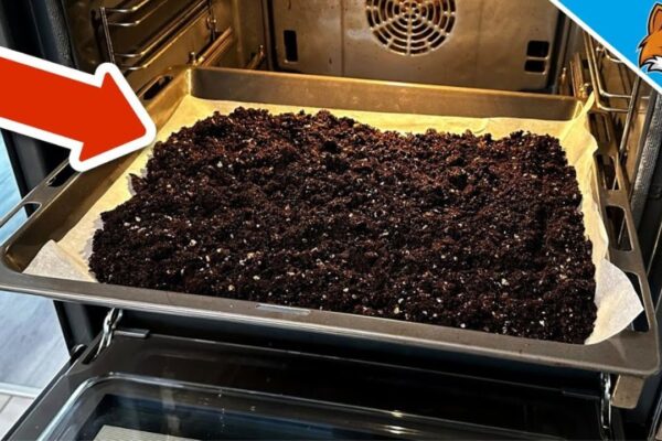 Finished How to Sterilize Potting Soil in the Oven, a completed DIY project
