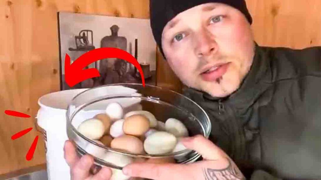 How To Store Eggs Long Term Without Refrigeration, homemade and freshly served