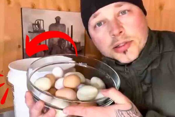How To Store Eggs Long Term Without Refrigeration, homemade and freshly served
