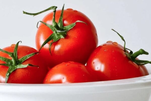 How to Keep Tomatoes Fresh Longer