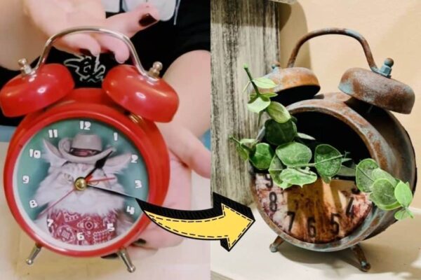Finished How To Transform Clock Into A Planter, a completed DIY project