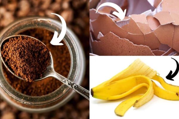 How to Use Eggshells, Banana Peels, and Coffee Grounds in the Garden, homemade and freshly served
