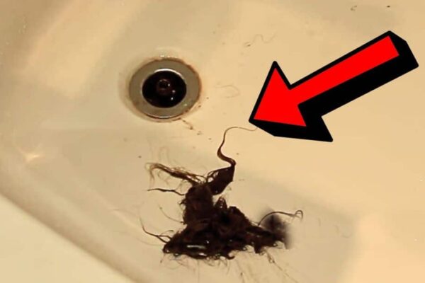 Finished How to Fix A Bathtub Drain Clogged by Hair, a completed DIY project