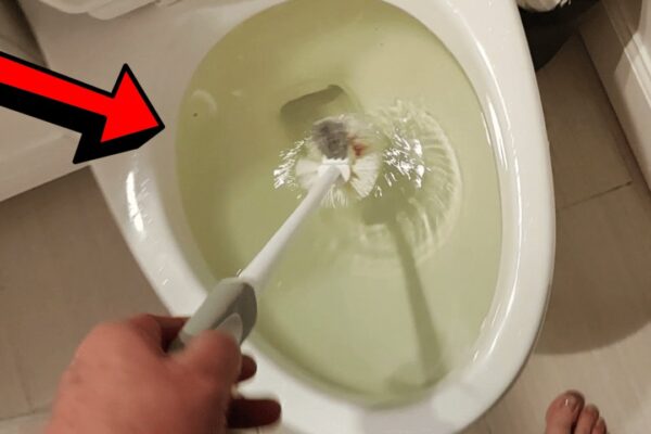 How to Unclog a Toilet Without a Plunger