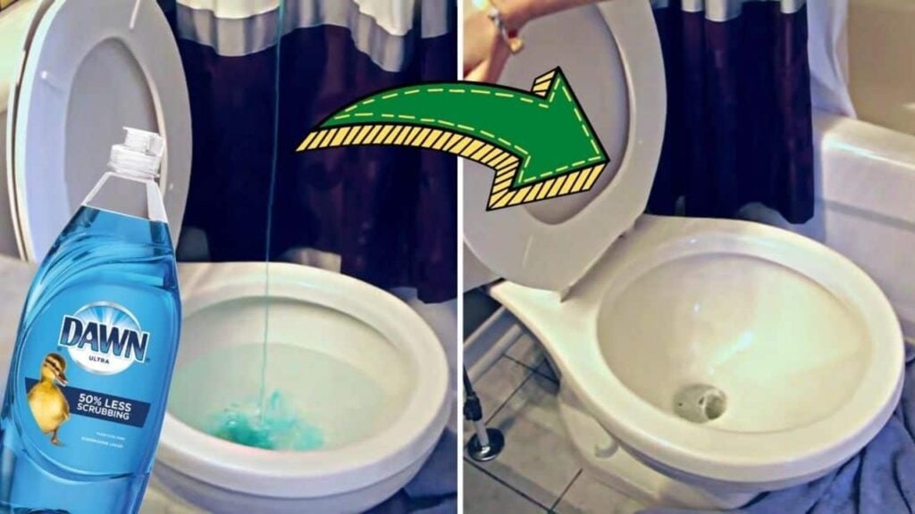 How To Unclog The Toilet Without A Plunger