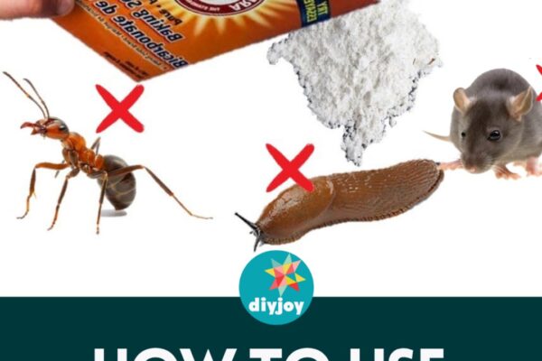 How To Use Baking Soda To Kill Pests