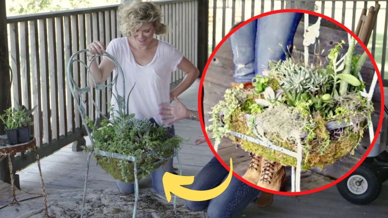 Old Chair Succulent Planter | Thrift Flip Garden Decor Old chair succulent planter, a painted metal chair frame with a moss lined wire basket seat planted full of green succulents