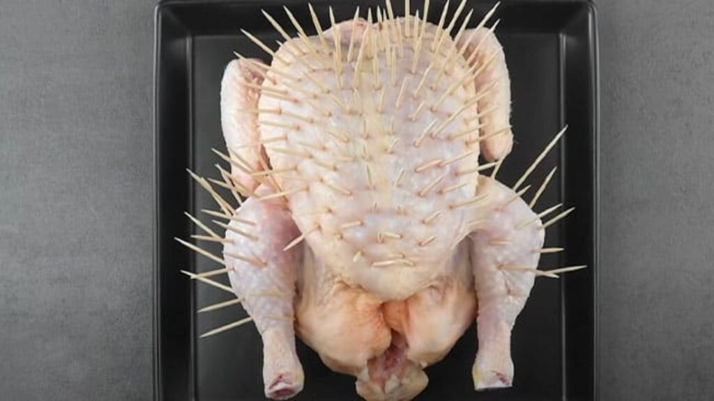 6 Innovative Chicken Dinner Recipes, homemade and freshly served
