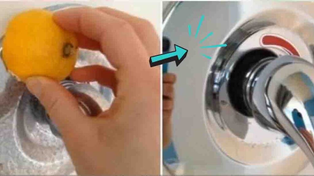 6 Tips To Keep Bathroom Smelling Fresh Naturally All the Time