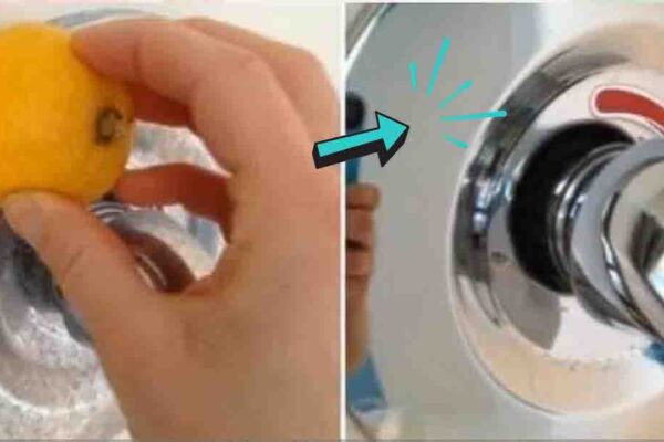 6 Tips To Keep Bathroom Smelling Fresh Naturally All the Time