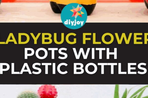 Finished Ladybug Flower Pots From Plastic Bottles, a completed DIY project