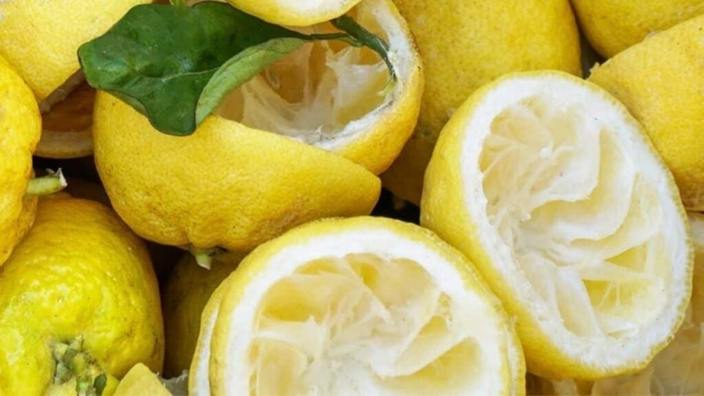 10 Lemon Peel Cleaning Hacks, homemade and freshly served